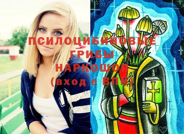 гидра Белокуриха