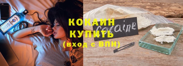 гидра Белокуриха