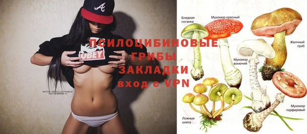 гидра Белокуриха