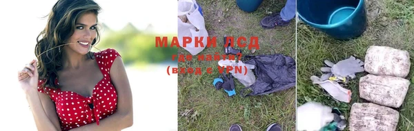 ПСИЛОЦИБИНОВЫЕ ГРИБЫ Беломорск