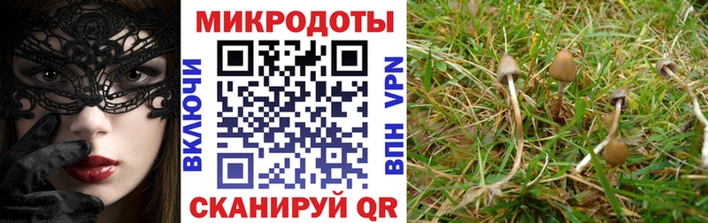 Галлюциногенные грибы прущие грибы  где можно купить   Пестово 