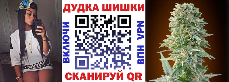 Конопля гибрид  Пестово 
